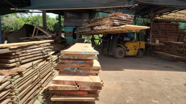 Live Edge Wood Slabs - Ponderosa WoodSlabs - Miami - Florida
