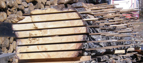 Ponderosa Wood Slabs - Pricing For Wood Slabs