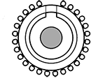 Round