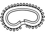 Kidney