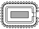Rectangle Round